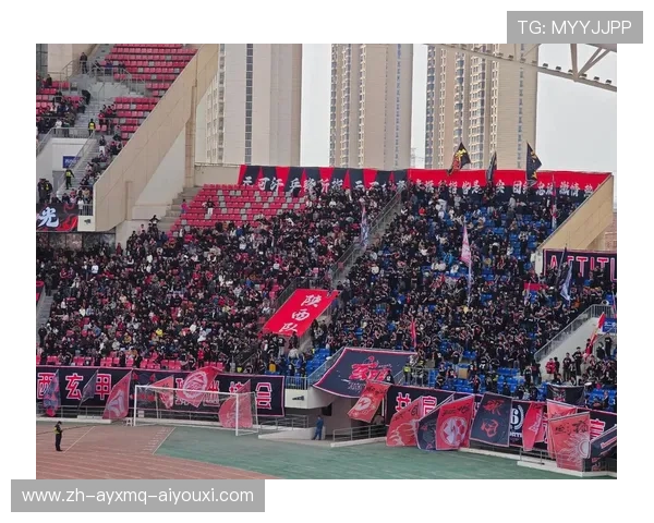 陕西CBA球队：陕西队的历史成就与未来规划